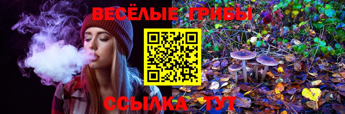 Кунгур  Псилоцибиновые грибы Cubensis  Вход с VPN 